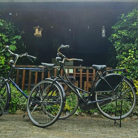 "De Jungle" Chalet Met Veranda Op Ijsselheide Hattemerbroek Veluwe Dış mekan fotoğraf