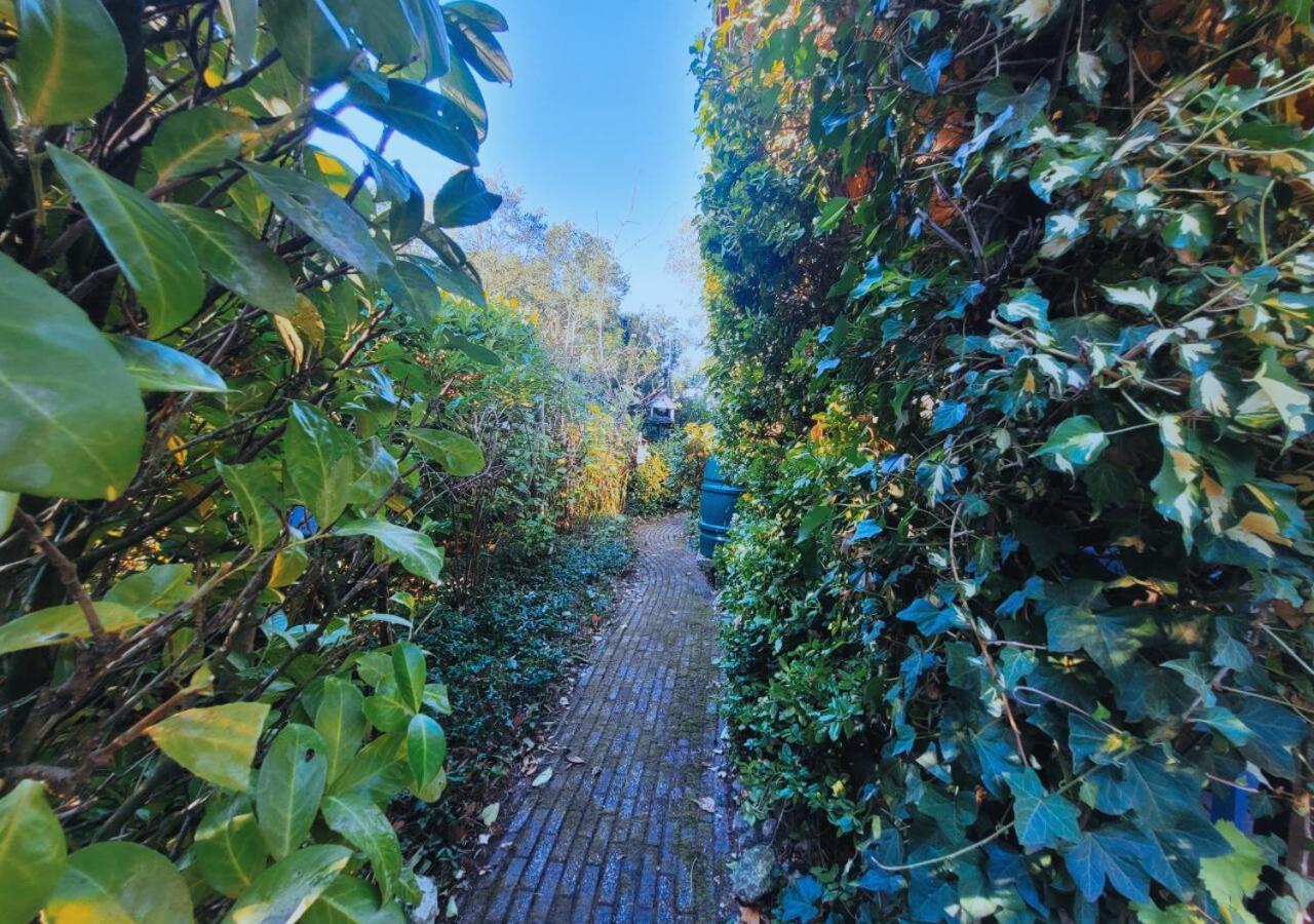"De Jungle" Chalet Met Veranda Op Ijsselheide Hattemerbroek Veluwe Dış mekan fotoğraf